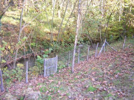 rental house : Private garden